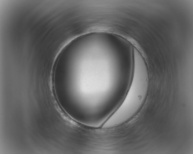 X0000063480904200601201240