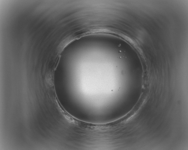 X0000063480905200601201240