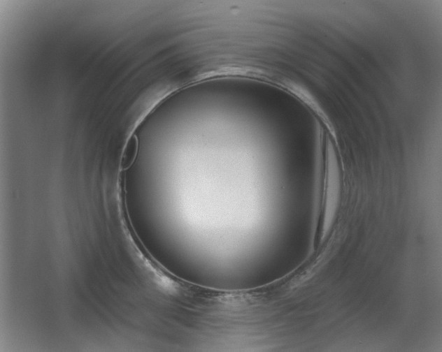 X0000063480906200601201240