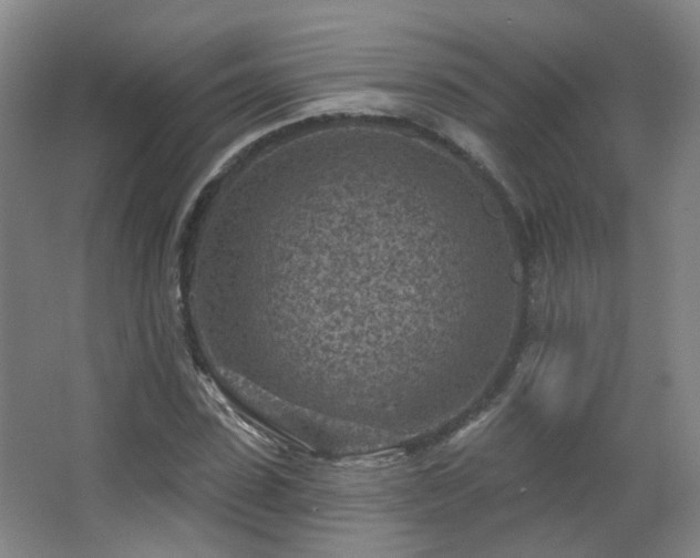 X0000063480923200601201239