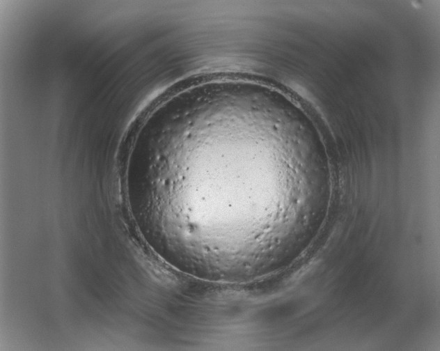 X0000063480925200601201239