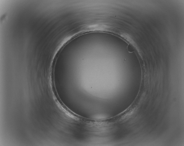 X0000063480941200601201240