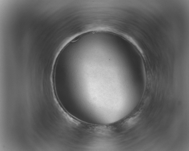 X0000063480959200601201240