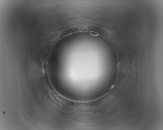 X0000063480962200601201239