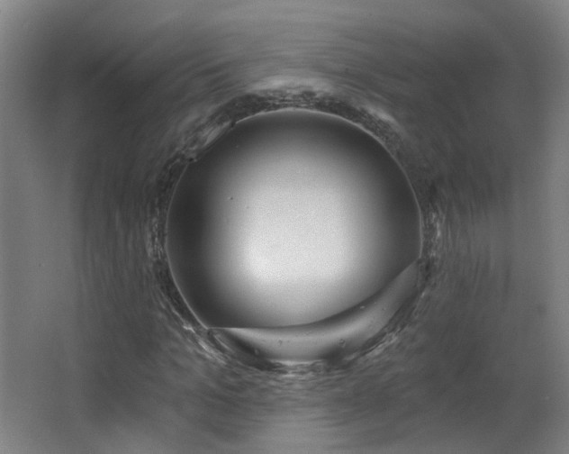 X0000063480965200601201239