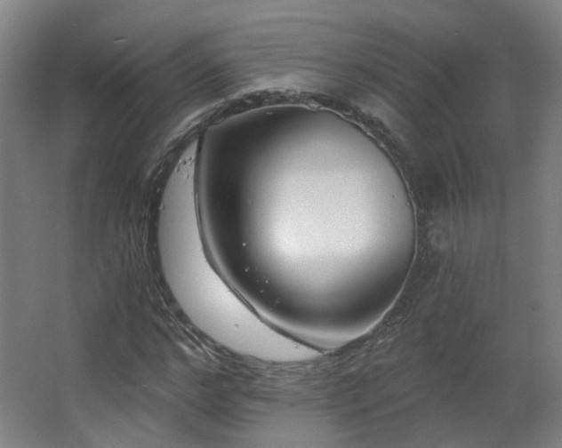 X0000063480968200601201239