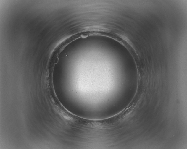 X0000063480971200601201239