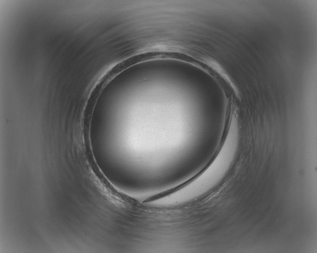 X0000063480972200601201239