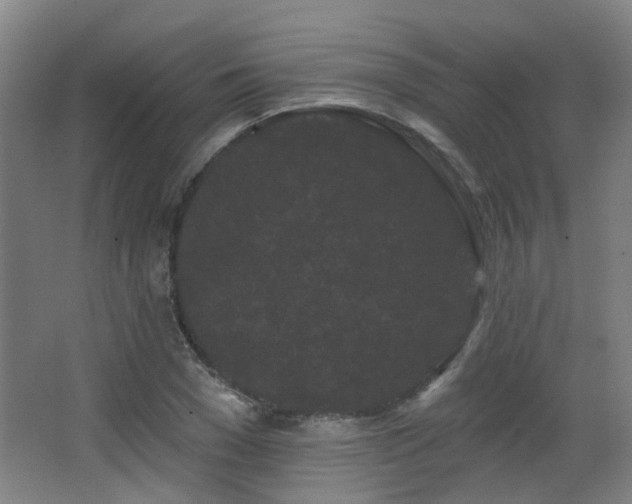 X0000063480977200601201239
