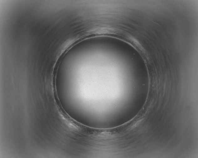 X0000063480986200601201239