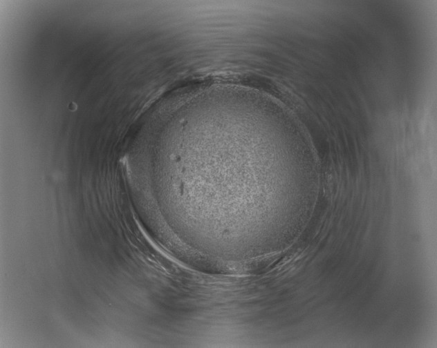 X0000063481010200601201237