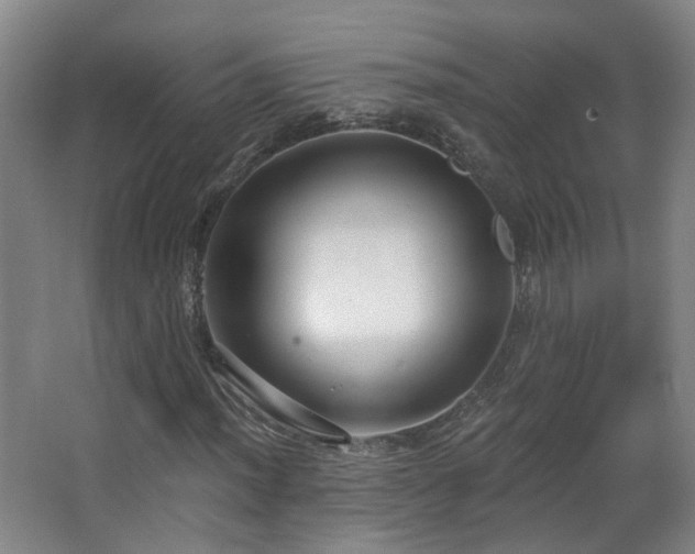 X0000063481012200601201238