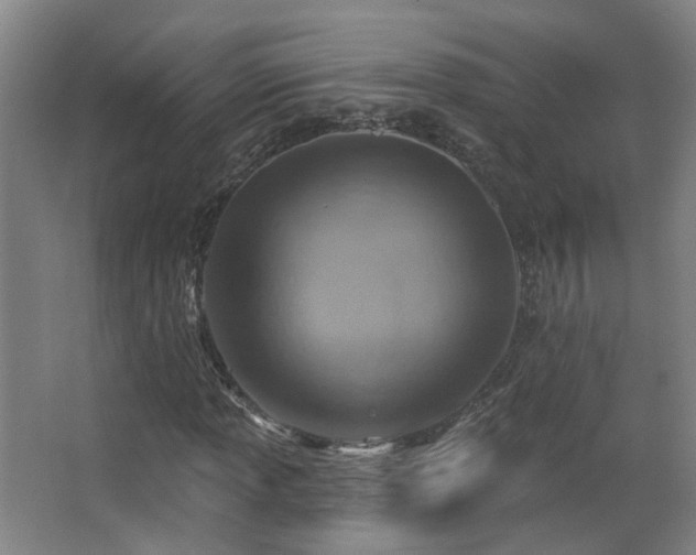 X0000063481013200601201238