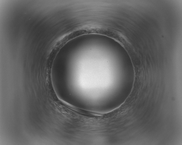 X0000063481016200601201238