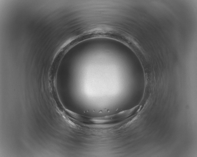 X0000063481018200601201238