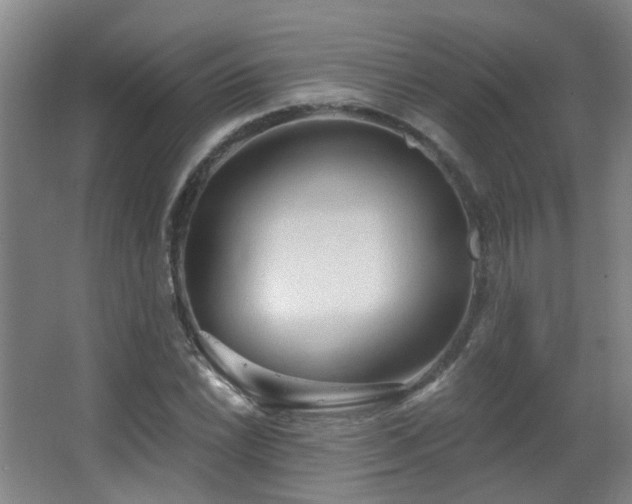 X0000063481022200601201238