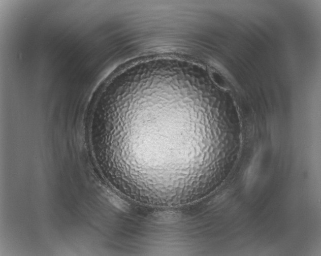 X0000063481023200601201238