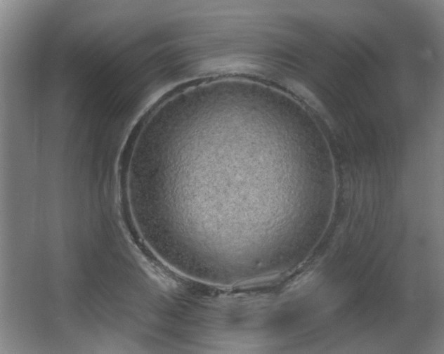 X0000063481031200601201238