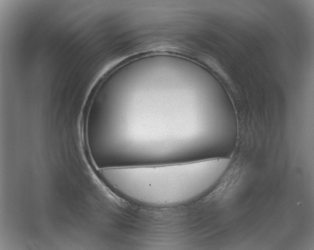 X0000063481032200601201238