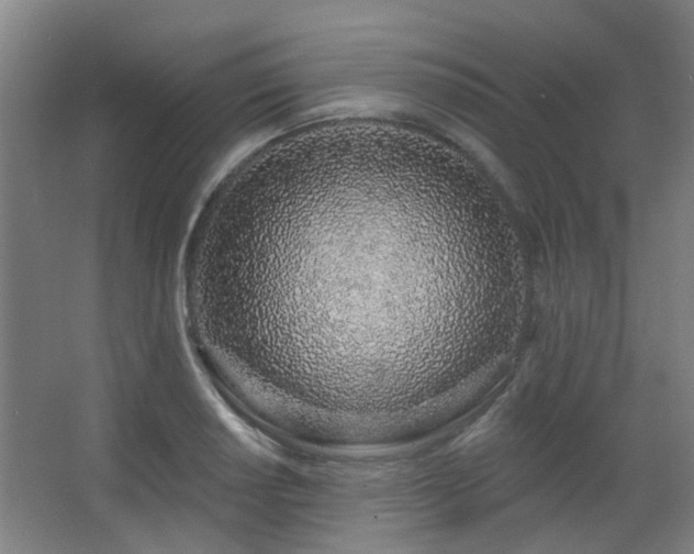 X0000063481034200601201238