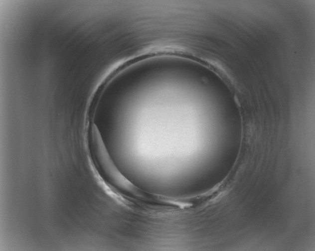 X0000063481038200601201238