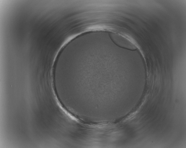 X0000063481045200601201238