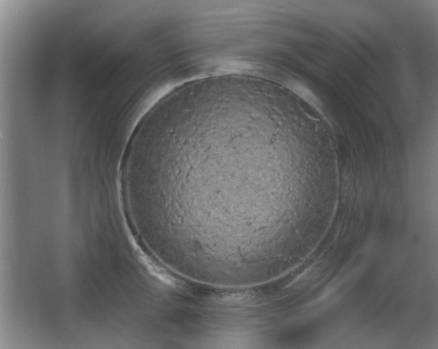 X0000063481047200601201238
