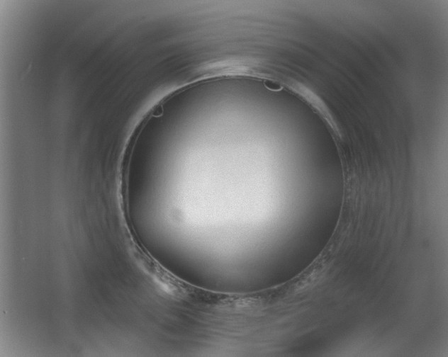 X0000063481051200601201238