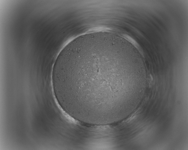 X0000063481055200601201238