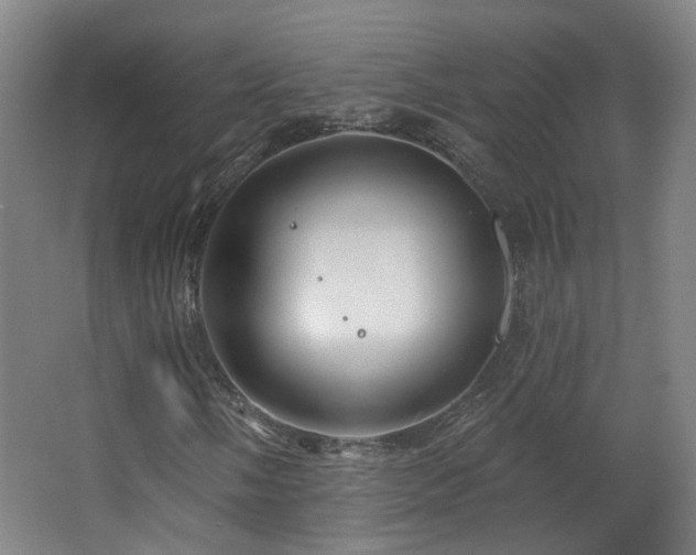 X0000063481058200601201237
