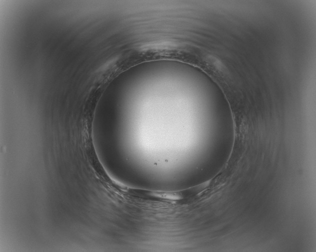 X0000063481062200601201237