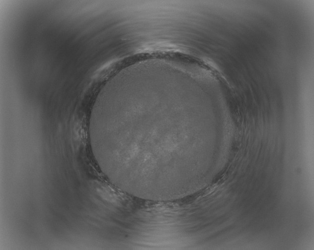 X0000063481063200601201237