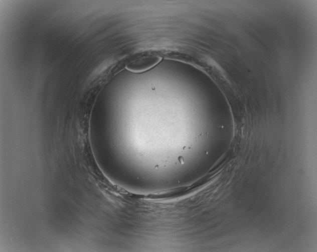 X0000063481064200601201237