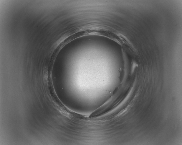 X0000063481065200601201237