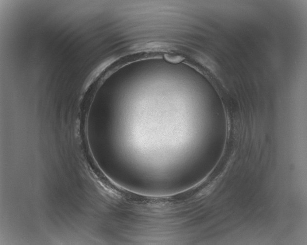 X0000063481066200601201237