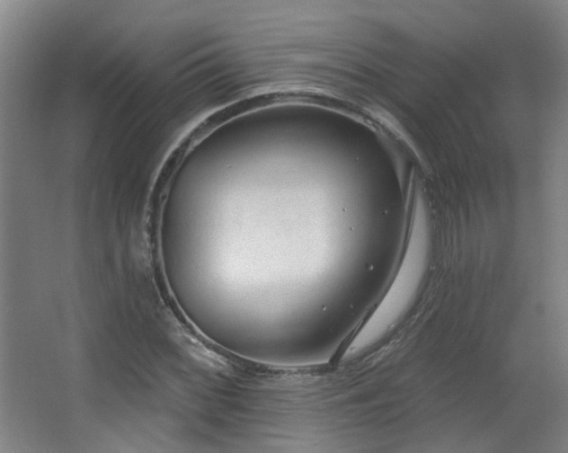 X0000063481068200601201237