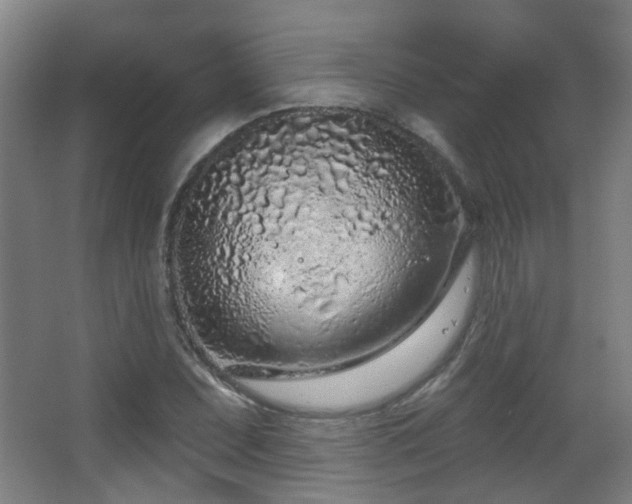 X0000063481071200601201237