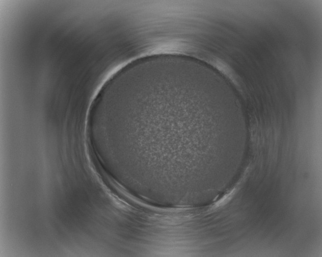 X0000063481077200601201237