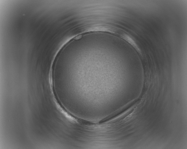 X0000063481084200601201237