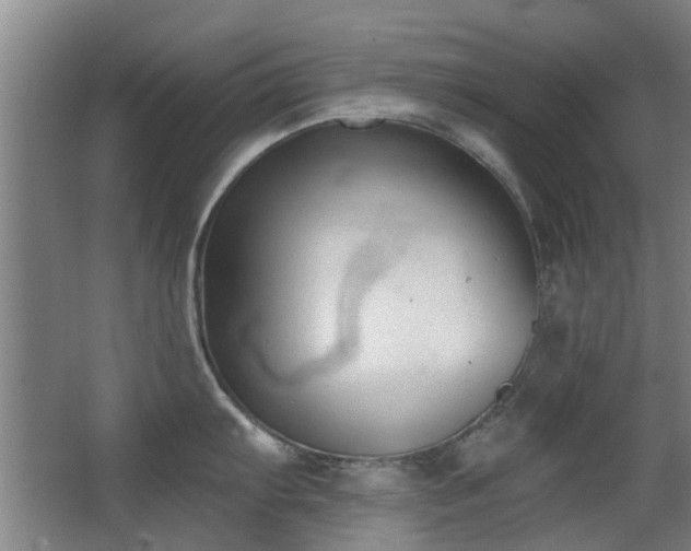 X0000063481103200601201237