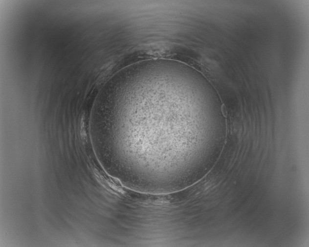 X0000063481106200601201236