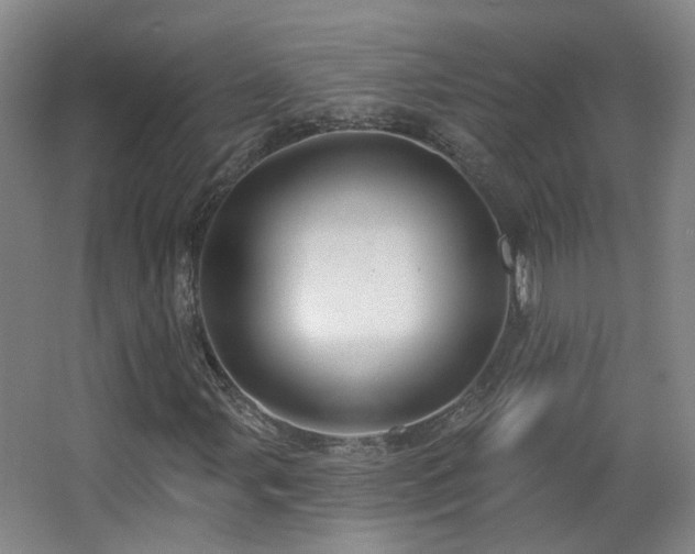 X0000063481107200601201236