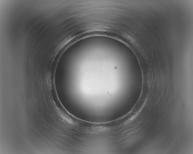 X0000063481113200601201236