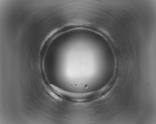 X0000063481114200601201236