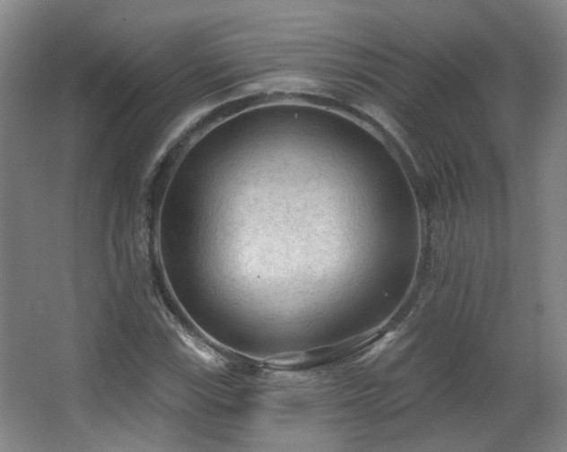 X0000063481115200601201236