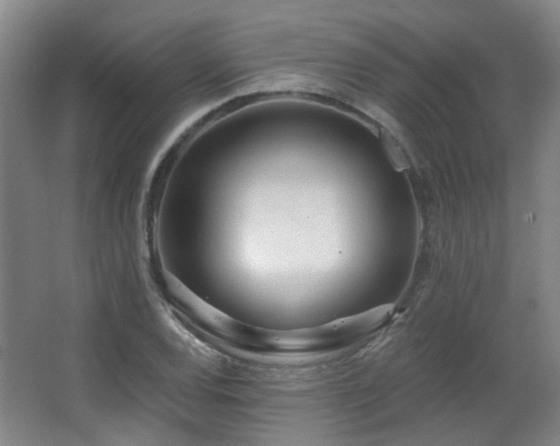 X0000063481120200601201236