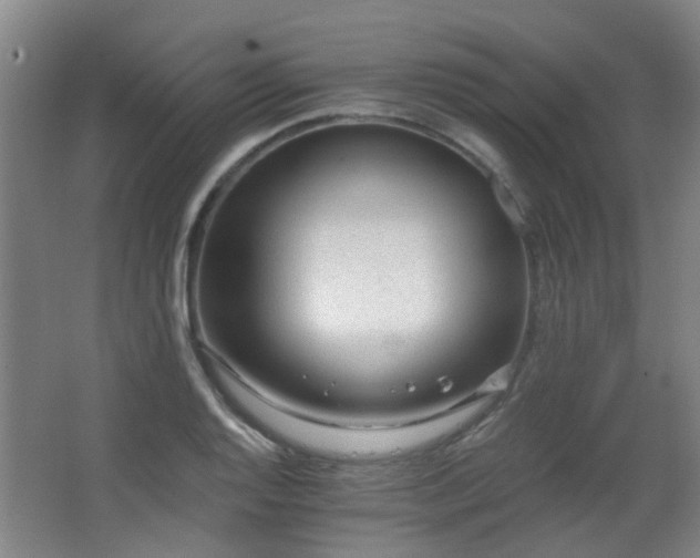 X0000063481128200601201236