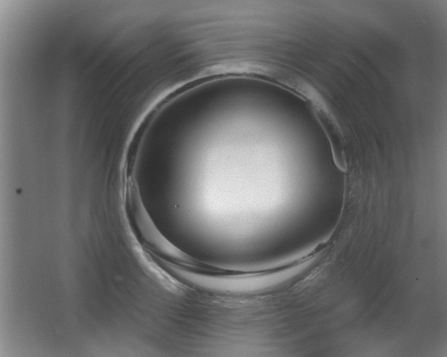 X0000063481132200601201236