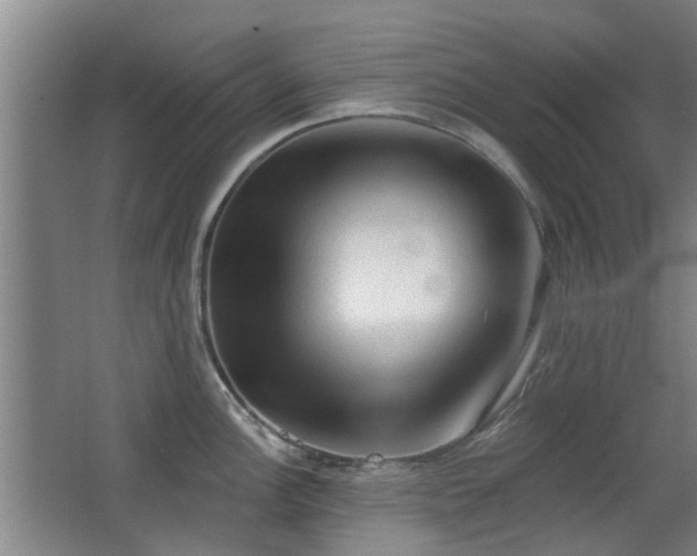 X0000063481148200601201237