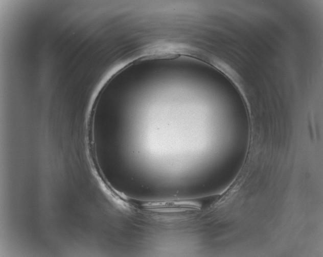 X0000063481152200601201237